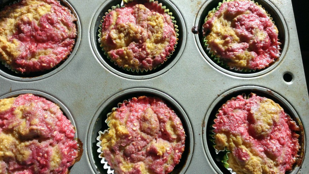 lemon raspberry muffins (paleo)