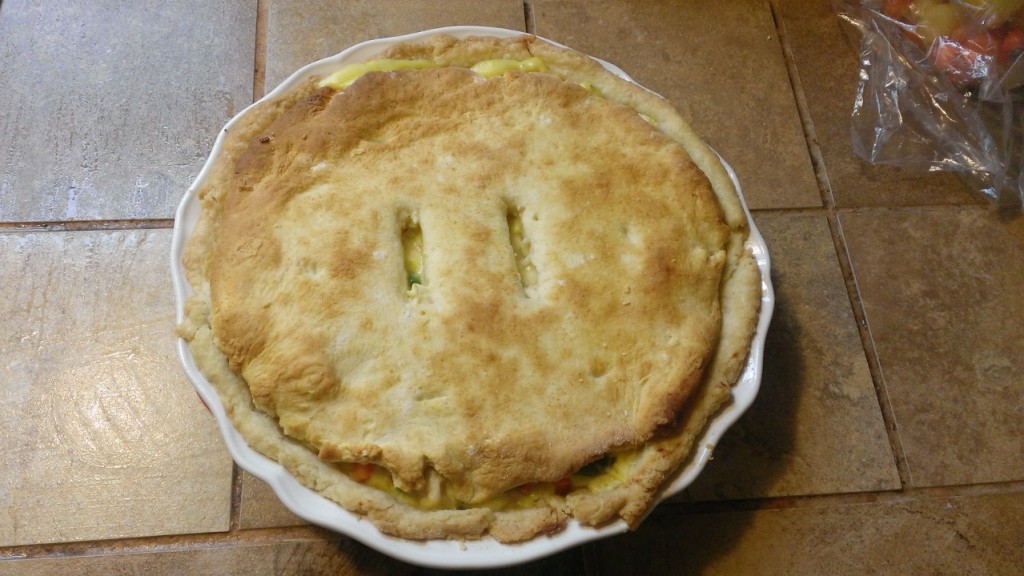 pie crust and bisquick biscuit topping.