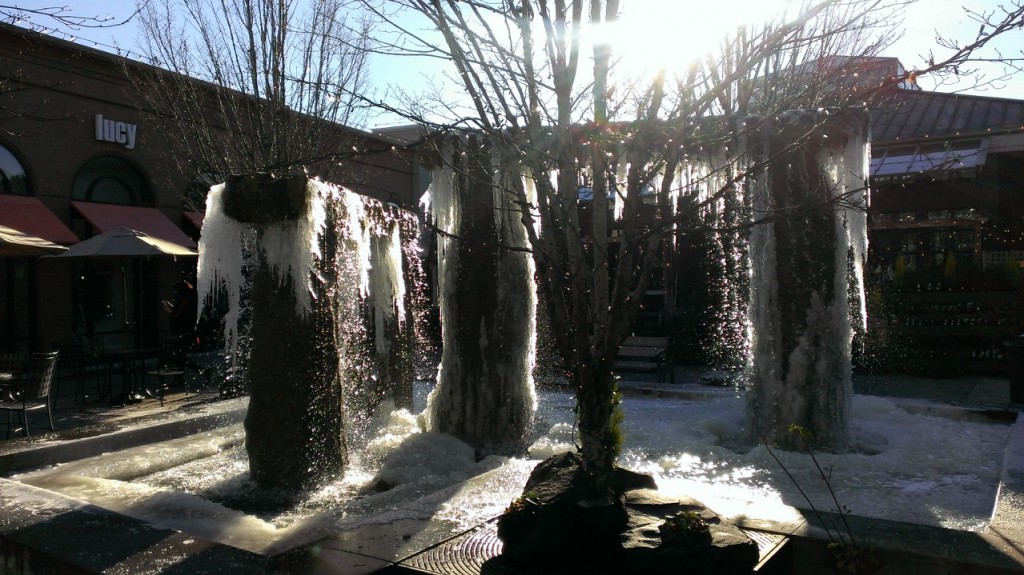 Seattle University Village