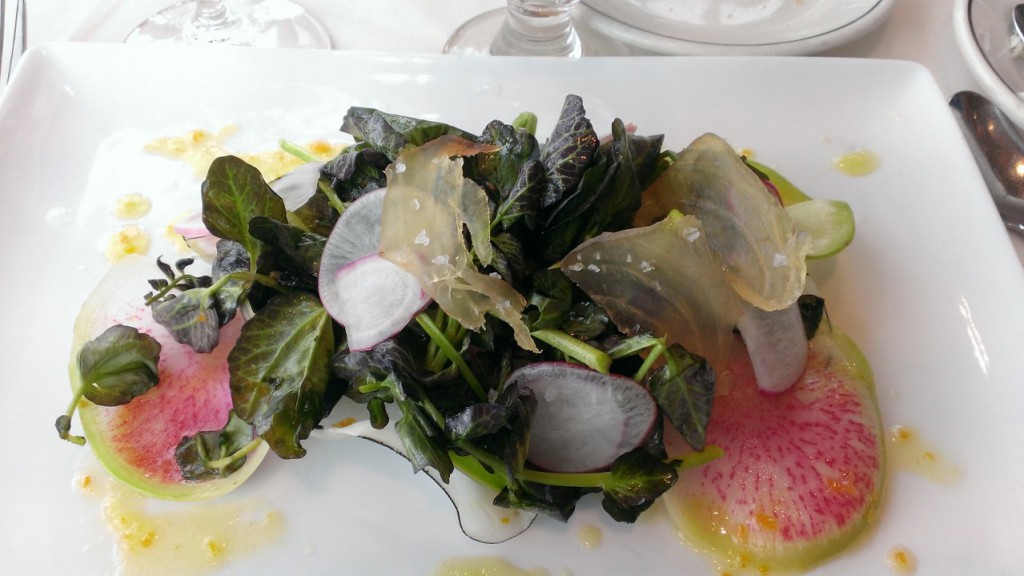 chef's seasonal salad
